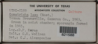 Image Associated With the Occurence